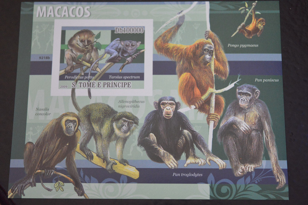 Гвинея. Фауна. Блок. 2015 год (В-7) Полтава - изображение 1