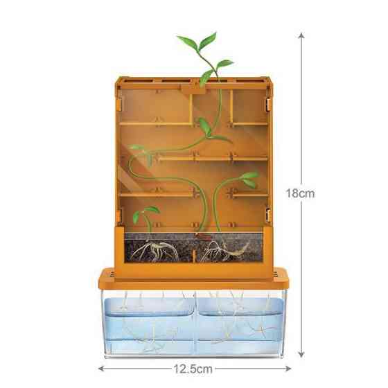 Набір для досліджень 4М Вирощування рослин та експерименти Лабіринт (00-03352) Харків