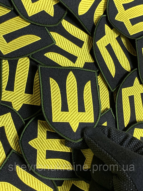 Шеврон Танковые войска (Форма щит. На липучке) Размер 8x7см Киев - изображение 6