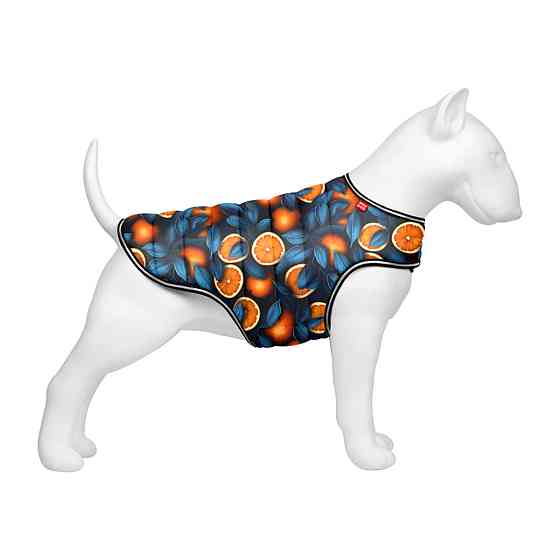 Курточка-накидка для собак WAUDOG Clothes, малюнок "Апельсини", L, А 41 см, B 58-70 см, С 42-52 см Київ