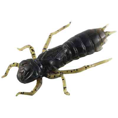 Силикон рыболовный FishUP Dragonfly 1.7" 043 - Watermelon Brown/Black (8шт/уп) (1864.04.93) Винница