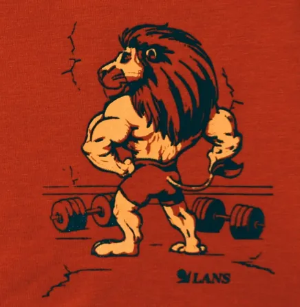 Шорти чоловічі подовжені з бавовни Lans 06.012 M, L, XL, XXL, 3XL, 4XL, Чорний Київ