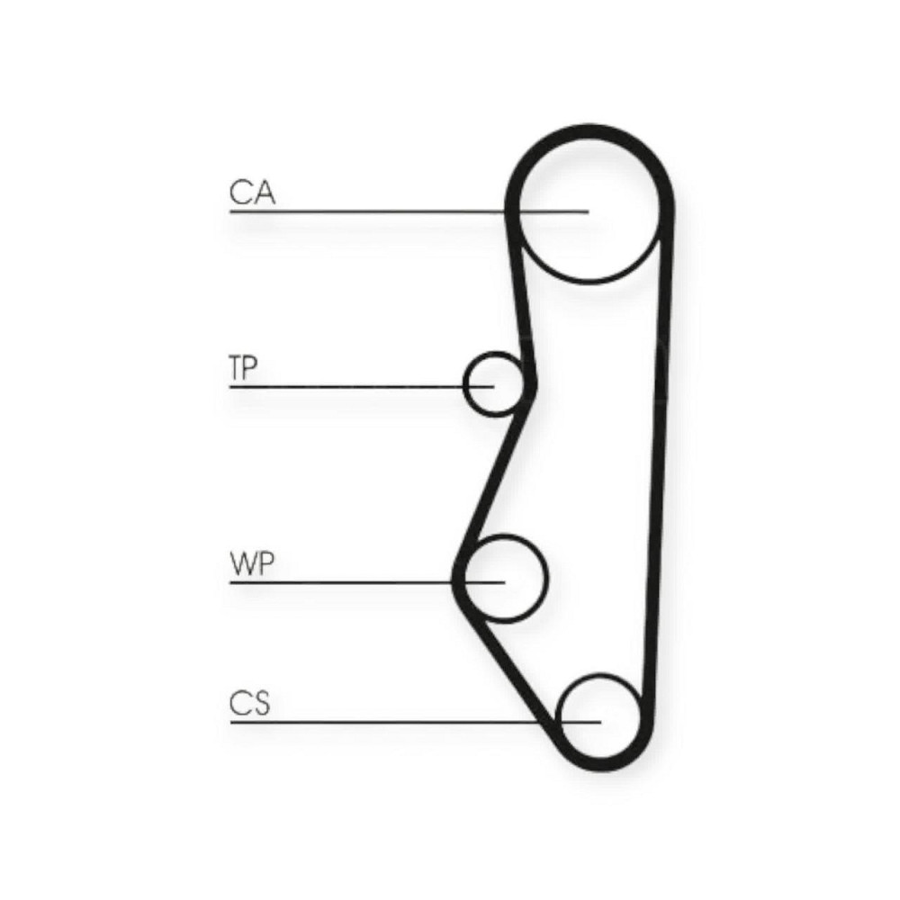 Ремень 2108, 2109, 21099, 2110-2115, 1117-1119 (8 кл) 111 зуб квадратный Continental ГРМ Мукачево - изображение 1