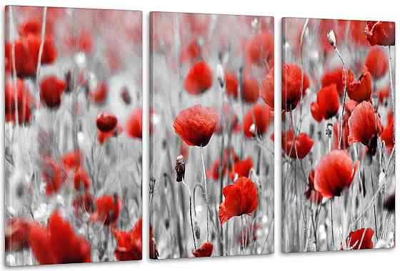 Модульна картина кольору Макі Арт-137_3А 70x130 см Київ