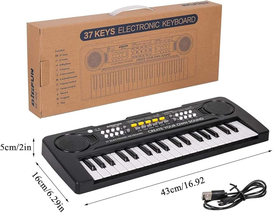 Дитяче піаніно Bigfun BF-420 Луцк - изображение 2