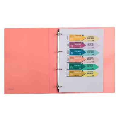 Папка на кольцах Axent А4 с 4-мя кольцами 700 мкм 35 мм Прозрачная розовая (1208-24-A) Винница