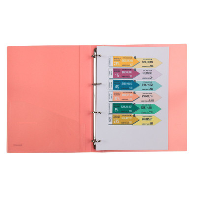 Папка на кольцах Axent А4 с 4-мя кольцами 700 мкм 35 мм Прозрачная розовая (1208-24-A) Винница - изображение 2