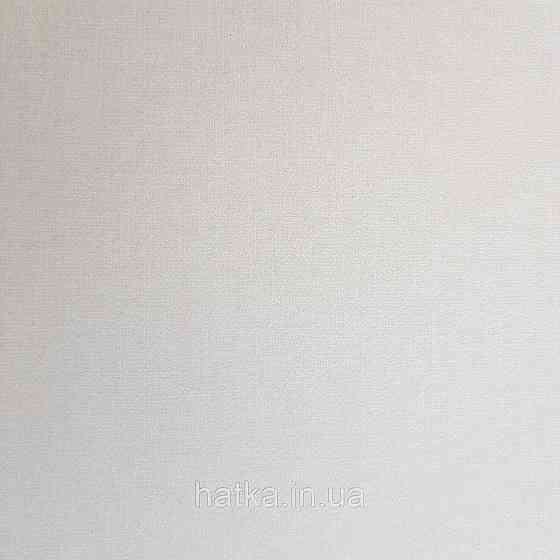 Шпалери флізелінові екологічно чисті Rasch Salisbury 0.53х10 однотонні ефект потертості світло сірі Київ