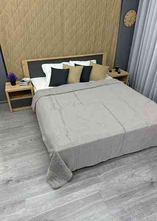 Плед-покривало Преміум 220х240 см (+-5см) Світло-сірий (87-224) Київ