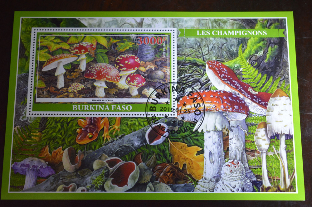 Буркина Фасо. Фауна. Марки. Блок. 2014 год (А-10) Полтава - изображение 1