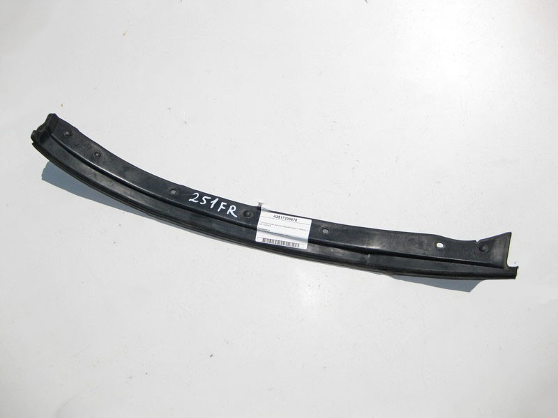 Mercedes-Benz  A2517200678 Ущільнювальна гумка передніх дверей до правого крила R-Class W251 Одеса - фото 1