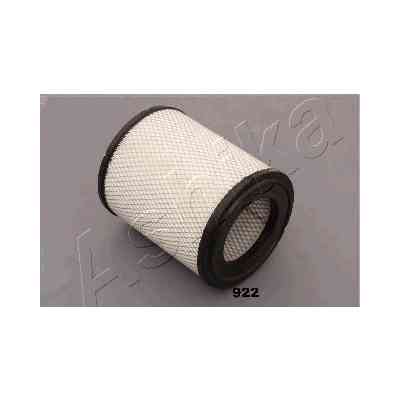 Воздушный фильтр для автомобиля ASHIKA 20-09-922 Винница