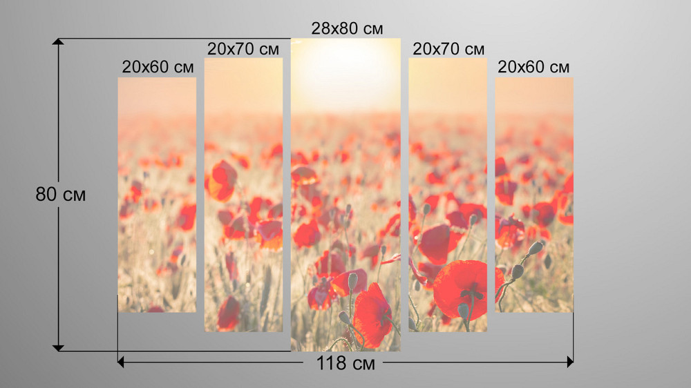 Модульная картина Поле Маки Art-62_5 Киев - изображение 4