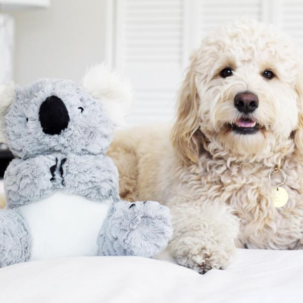 Іграшка для собак Patchwork Pet Koala (Печворк Пет Коала) 380 Запоріжжя - фото 3