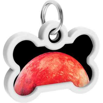 Адресник для животных WAUDOG Smart ID с QR паспортом "Марс", кость 40х28 мм (231-4031) Винница