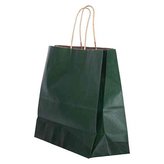 Набір подарункових крафтових пакетів з паперу 12 (шт.) гарні пакети для подарунків 31×12×25 (см) Зелений HP-10359-2GR Київ