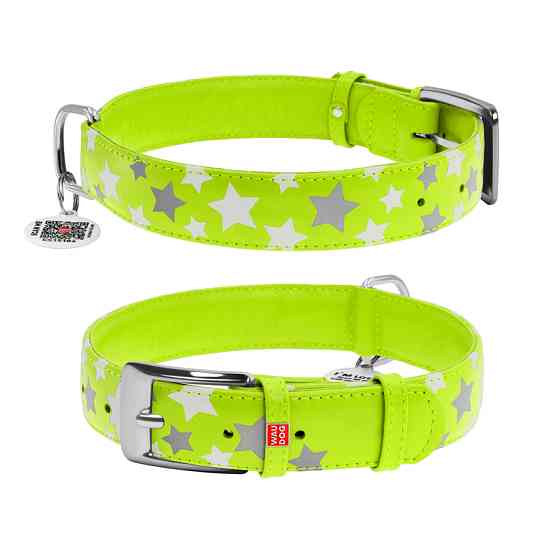 Нашийник для собак шкіряний WAUDOG Glamour з QR паспортом, візерунок "Зірочка", світлонакопичув Коломия