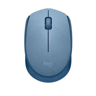 Мишка Logitech M171 Blue Grey (910-006866) Вінниця