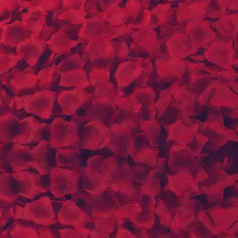 Пелюстки троянд штучні 200 штук 45 на 45 мм бордовий Київ