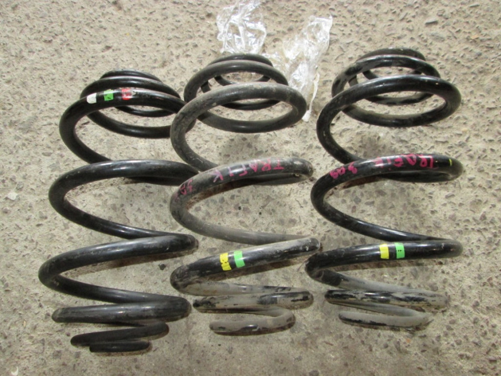 Пружина задня Renault Trafic 2001-2019 Ковель - изображение 1