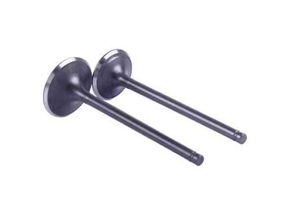 Клапани на бензиновий двигун CB-250CC, к-т: 2 шт., Мукачево