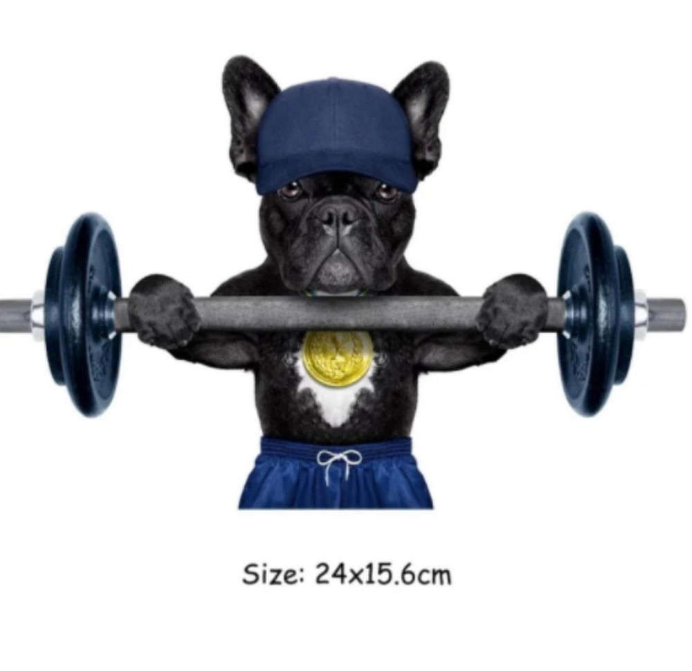 Термо аппликация для одежды Бульдог штангист Киев - изображение 2