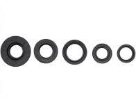 Сальники набір скутер Стелс Мукачево - фото 1