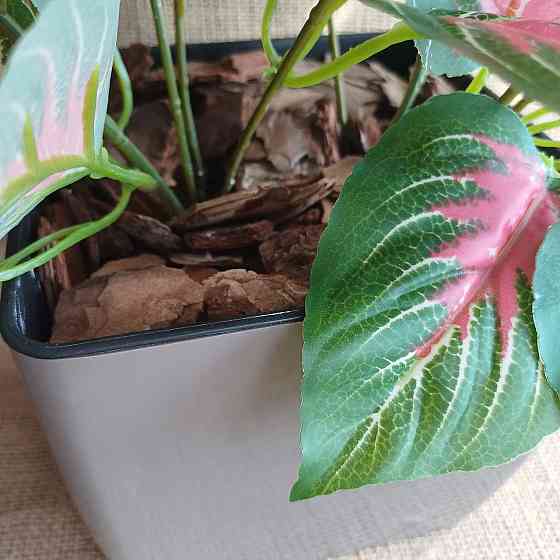 Штучний кущ аглономи із латексу Дніпро