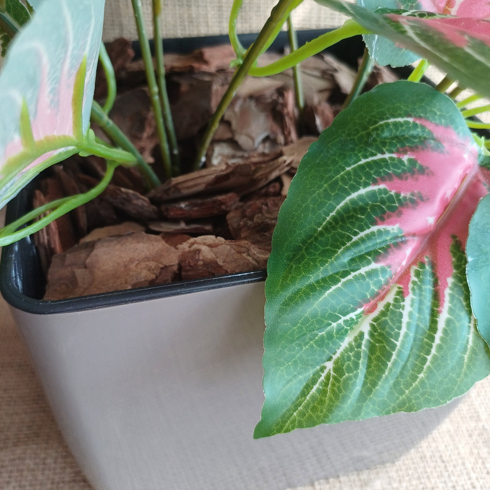 Штучний кущ аглономи із латексу Дніпро - фото 4