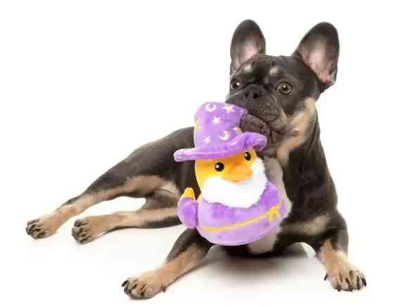 М'яка іграшка для собак FuzzYard Качечка Сіріус Квак L Луцк