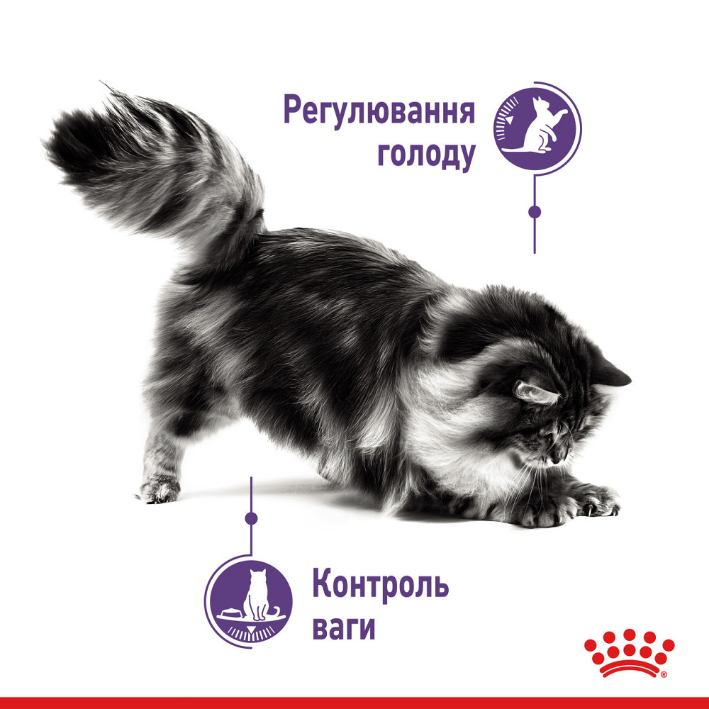 Вологий корм для дорослих котів ROYAL CANIN LIGHT WEIGHT CARE шматочки в соусі 85 г, від набору зайвої ваги Київ - фото 4