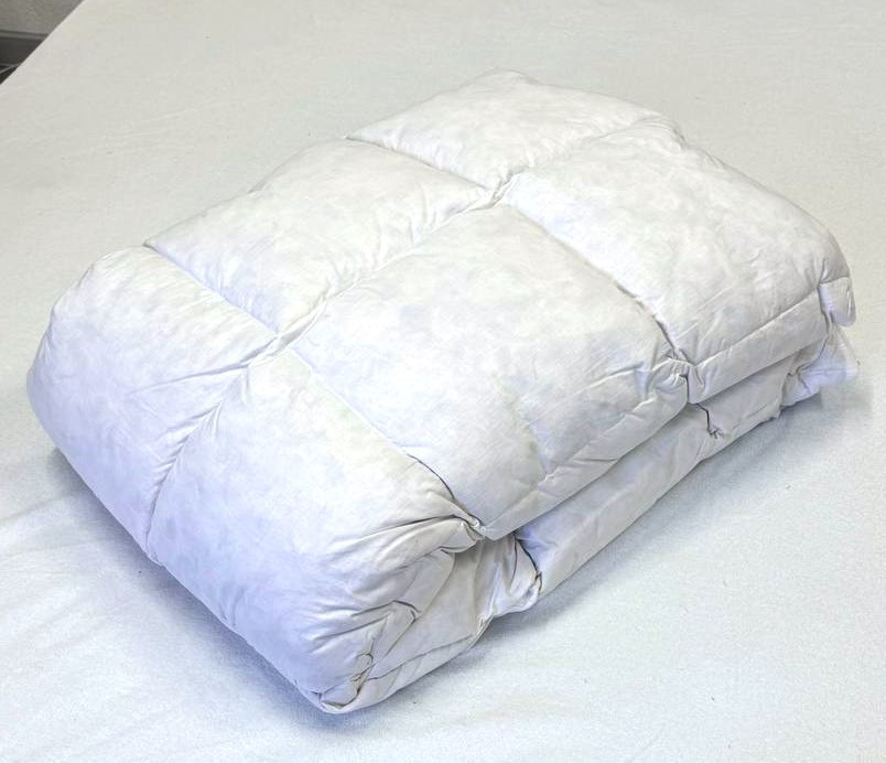 Ecotton Ковдра Ecotton двоспальна 172х205 см пухово-перова пух 50% White Коломия - фото 1