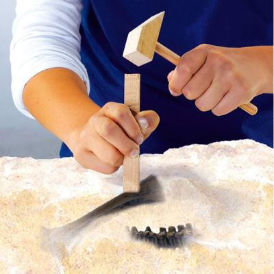 Набір для експериментів Ses Дослідник Розкопки скелета Тиранозавра (25028S) Вінниця - фото 4