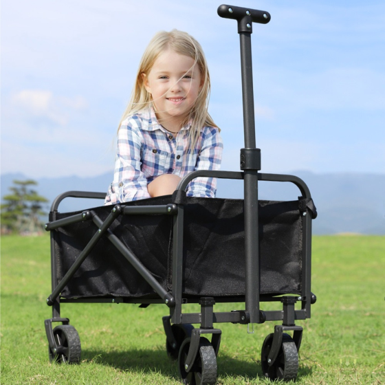 Тележка складная на 48 л для транспортировки вещей и продуктов,универсальная для походов,кемпинга,в магазин для перевозки Каменец-Подольский