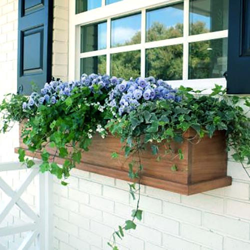 Цветочник подоконный 