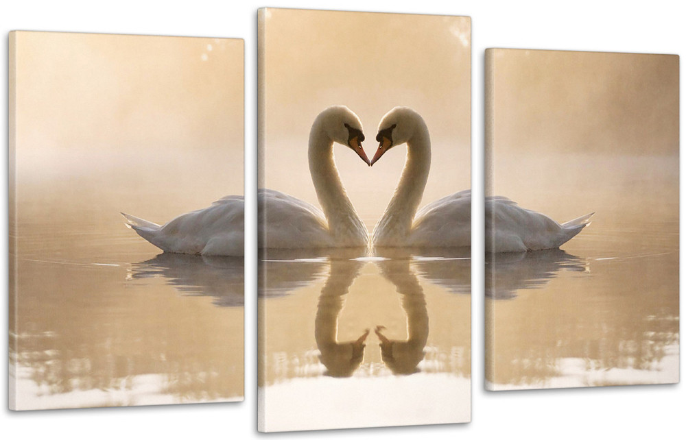 Модульная картина Лебеди Art-206_3 Киев - изображение 1