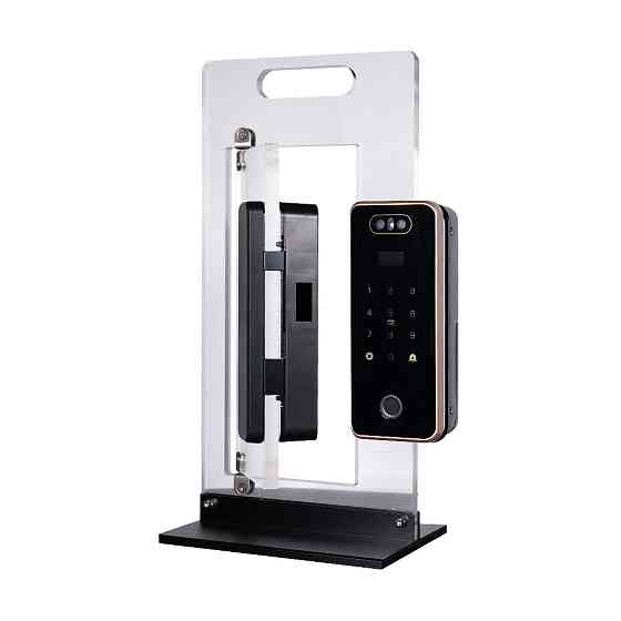 Замок біометричний автономний на скляні двері Trinix TRL-4401BG Tuya з WiFi, розпізнаванням облич, зчитувачем відбитків пальців і Київ