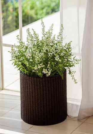 Горщик для квітів Keter 7 л. Cylinder Planter Small, коричневий Київ