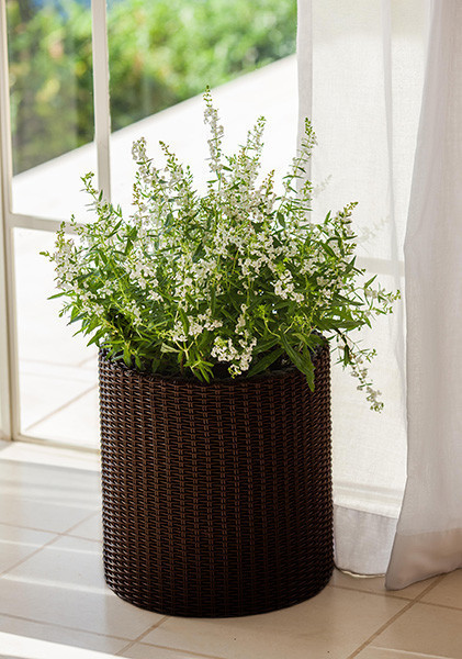 Горщик для квітів Keter 7 л. Cylinder Planter Small, коричневий Київ - фото 2
