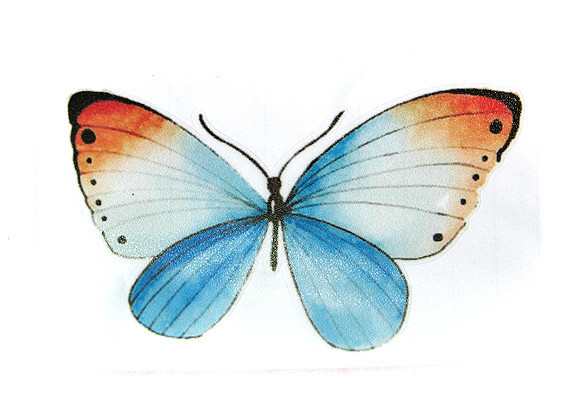 Наклейка интерьерная 9,7 см Бабочка Киев - изображение 1