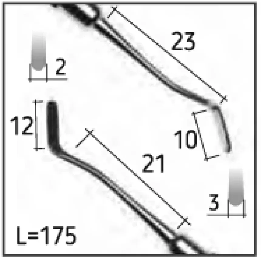 Двостороння гладилка 4, N2020-S Дніпро - фото 3