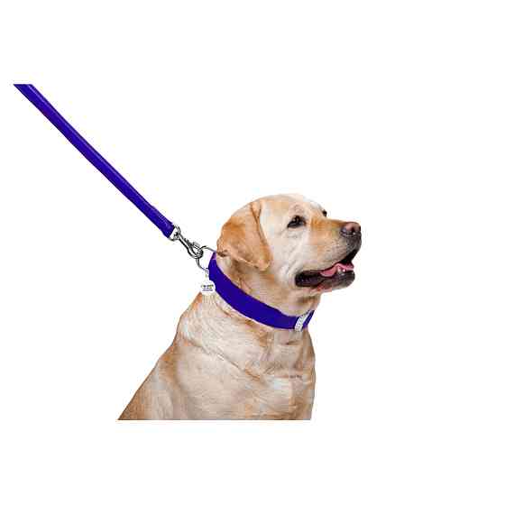 Повідець для собак шкіряний WAUDOG Glamour, Ш 25 мм, Дов 122 см фіолетовий Київ