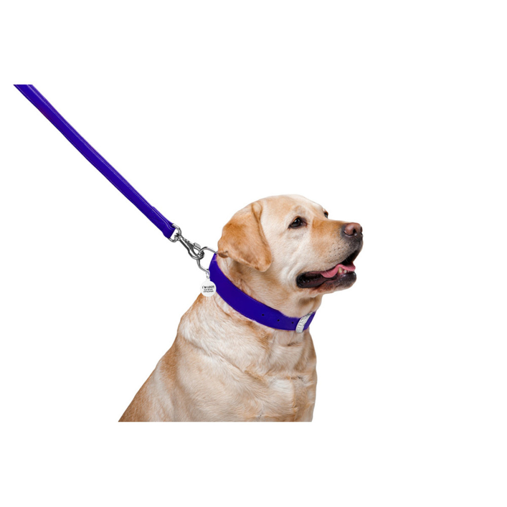 Повідець для собак шкіряний WAUDOG Glamour, Ш 25 мм, Дов 122 см фіолетовий Київ - фото 4