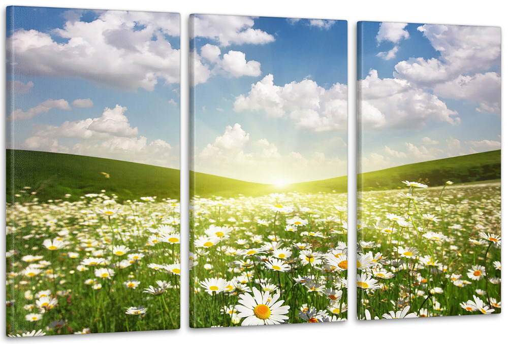 Модульна картина Полі Ромашки Аrt-170_3А Київ - фото 1