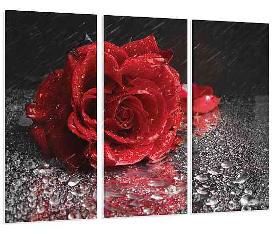 Модульная картина Красная Роза Art-85_XXL 70x130 см Киев