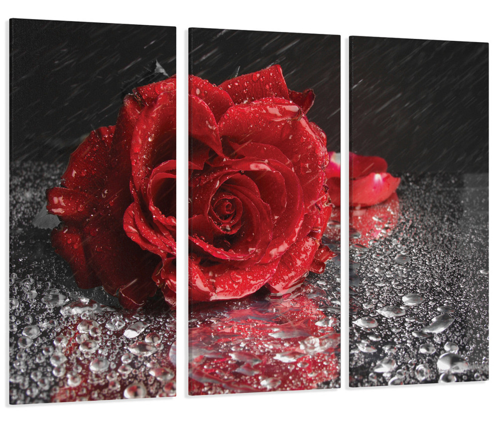 Модульная картина Красная Роза Art-85_XXL 70x130 см Киев - изображение 1