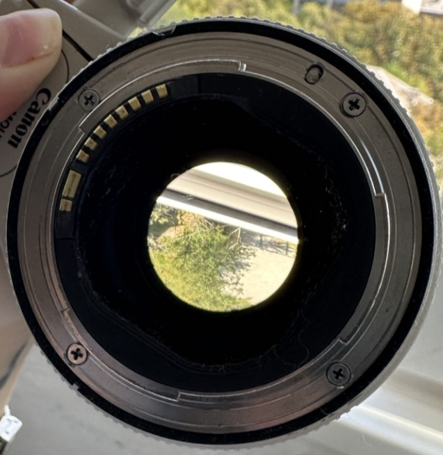 Об'єктив: Canon L 70-200mm. 2.8 II is USM . Харків - фото 2