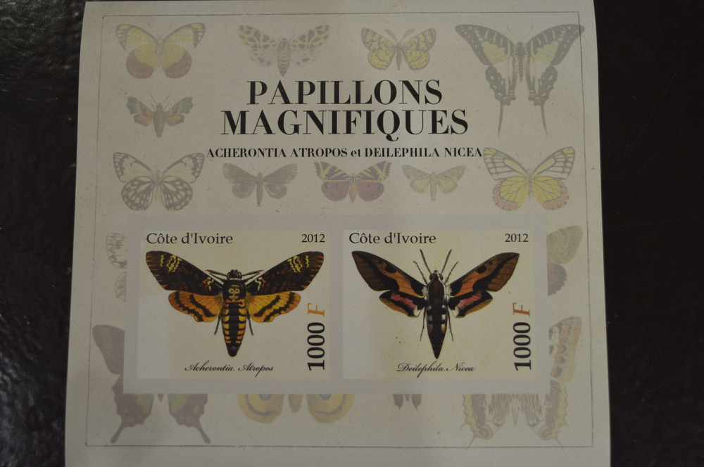 Кот-д’Ивуар. Фауна. Марки. Блок. 2012 год (И) Полтава - изображение 1