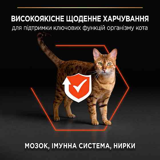 Сухой корм PRO PLAN Adult 1+ Vital Functions для взрослых кошек, с лососем, 1.5 кг Киев