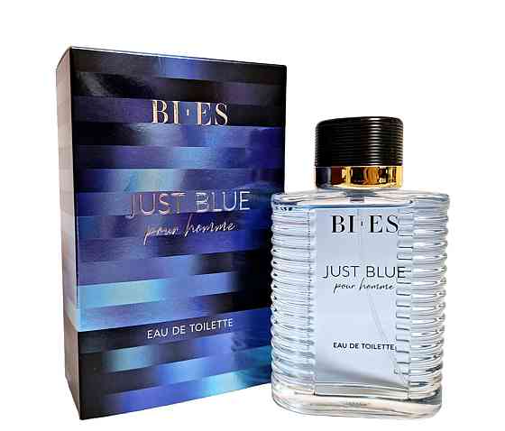 Туалетна вода чоловіча Bi-Es Just Blue Pour Homme 100 мл. Джаст Блу Бі Єс Запоріжжя